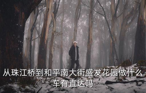 從珠江橋到和平南大街盛發(fā)花園做什么車有直達(dá)嗎