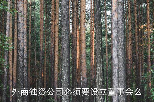 外商獨資公司必須要設立董事會么