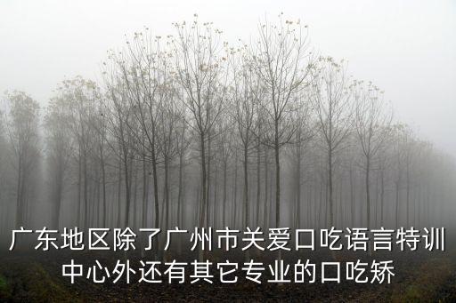 廣東地區(qū)除了廣州市關(guān)愛口吃語言特訓(xùn)中心外還有其它專業(yè)的口吃矯