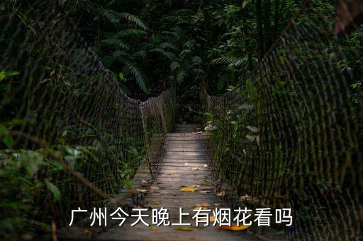 廣州今天晚上有煙花看嗎