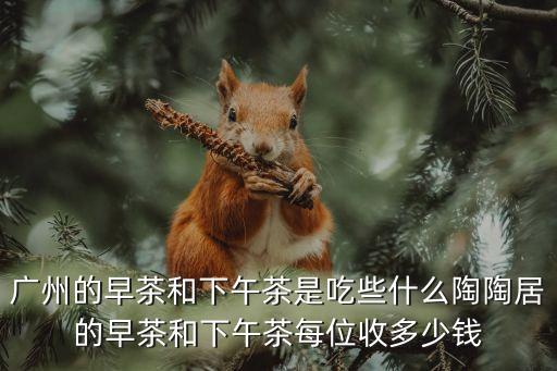 廣州的早茶和下午茶是吃些什么陶陶居的早茶和下午茶每位收多少錢