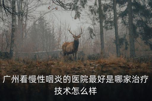廣州看慢性咽炎的醫(yī)院最好是哪家治療技術(shù)怎么樣