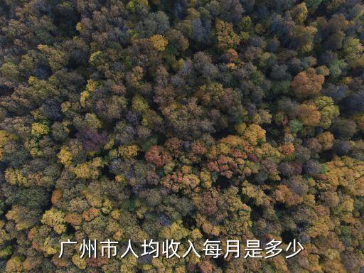 廣州市人均收入每月是多少