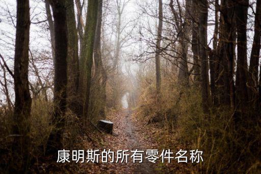 廣州康明斯發動機配件規格，康明斯50千瓦100千瓦120千瓦500千瓦160千瓦各配什么型號