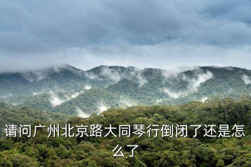 廣州大同琴行葉老師，廣州市北京路大同琴行可以練琴么
