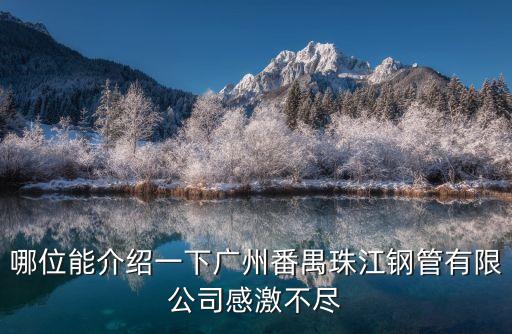 哪位能介紹一下廣州番禺珠江鋼管有限公司感激不盡