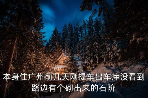 本身住廣州前幾天剛提車出車庫沒看到路邊有個砌出來的石階