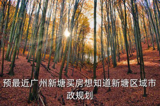 預(yù)最近廣州新塘買房想知道新塘區(qū)域市政規(guī)劃