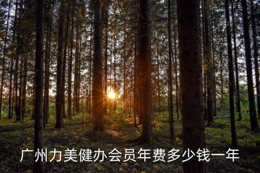 廣州力美健身卡，廣州力美健辦會員年費多少錢一年