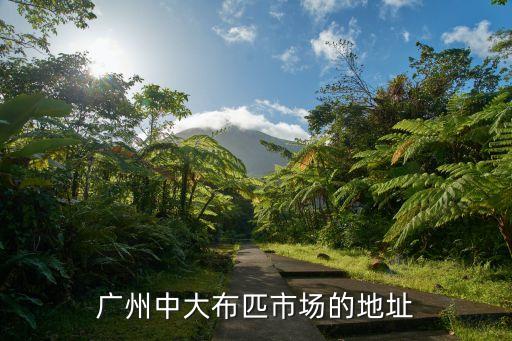 廣州中大長江國際紡織城d346，廣州中大布料市場