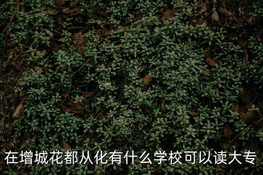 廣州從化有哪幾個專科學校，在增城花都從化有什么學校可以讀大專