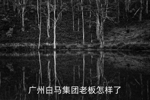 廣州白馬集團老板怎樣了