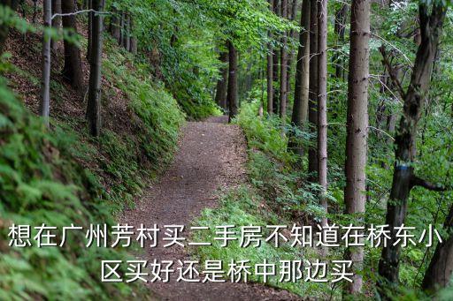 想在廣州芳村買二手房不知道在橋東小區(qū)買好還是橋中那邊買
