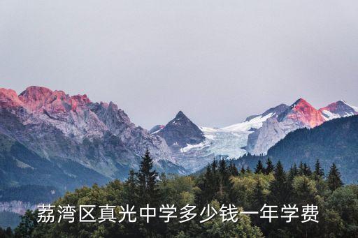 荔灣區(qū)真光中學(xué)多少錢一年學(xué)費(fèi)