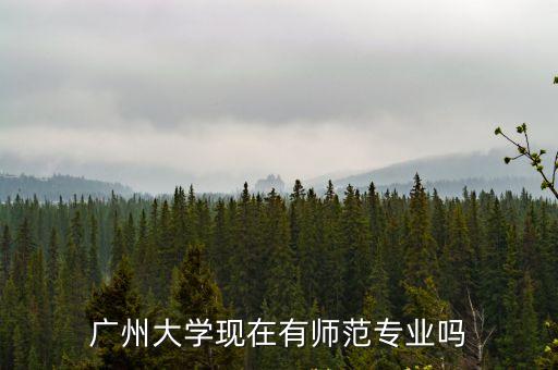廣州大學現在有師范專業嗎