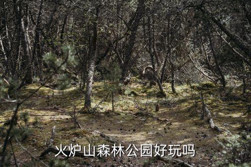 廣州郊外的火爐山，火爐山森林公園的介紹