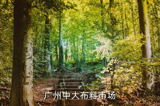 廣州中大布料市場