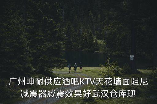 廣州坤耐供應(yīng)酒吧KTV天花墻面阻尼減震器減震效果好武漢倉(cāng)庫(kù)現(xiàn)