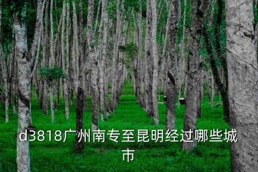 d3818廣州南專至昆明經(jīng)過哪些城市