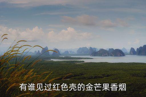 河南產芒果香煙廣州哪里有賣，河南中煙公司出品的金芒果香煙多少錢一盒