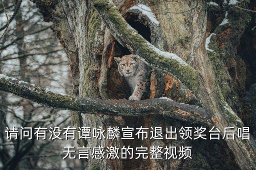 廣州美女粵語歌手無言感激，無言感激有沒有女聲國語唱的