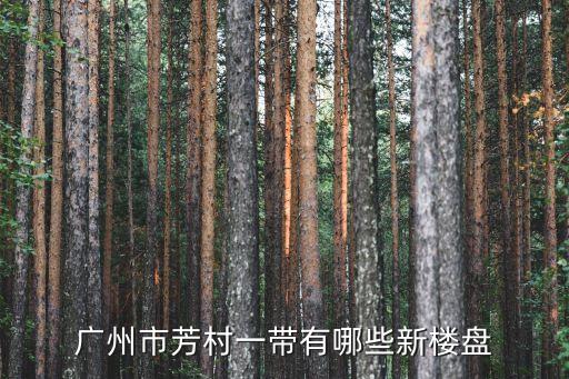 廣州市芳村一帶有哪些新樓盤