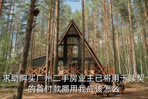 最新廣州橋中房業主，想在廣州芳村買二手房不知道在橋東小區買好還是橋中那邊買