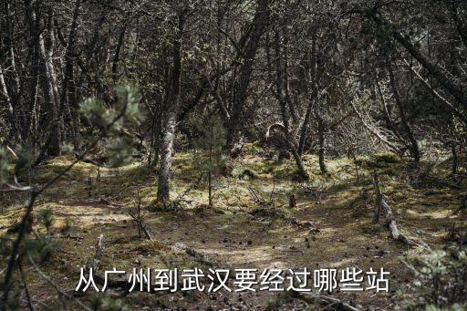 從廣州到武漢要經過哪些站