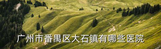廣州市番禺區大石鎮有哪些醫院