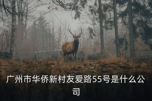 廣州市華僑新村友愛(ài)路55號(hào)是什么公司