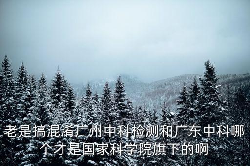 老是搞混淆廣州中科檢測和廣東中科哪個才是國家科學院旗下的啊