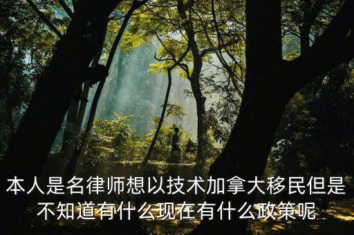 本人是名律師想以技術加拿大移民但是不知道有什么現在有什么政策呢