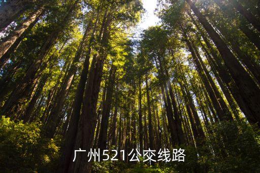 521公交車路線圖廣州，廣州521路線
