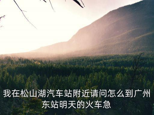 我在松山湖汽車(chē)站附近請(qǐng)問(wèn)怎么到廣州東站明天的火車(chē)急