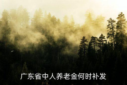 廣東省中人養(yǎng)老金何時補發(fā)