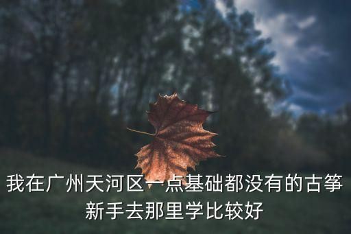 廣州古箏茶樓哪里最好，我在廣州天河區(qū)一點基礎(chǔ)都沒有的古箏新手去那里學(xué)比較好