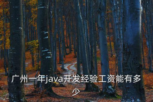 廣州java軟件工程師待遇，廣州一年java開發經驗工資能有多少