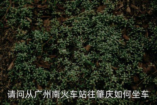 廣州南站到肇慶東站怎么坐高鐵，廣州到肇慶高鐵在那里座車