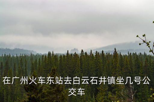 廣州東站至石井公交，從廣州東站坐什么路的公交車(chē)到白云區(qū)的石井呢