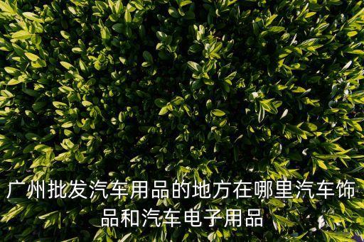 廣州多美車用品，廣州哪些地方賣汽車用品