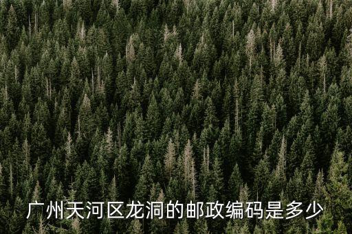廣州市天河區(qū)龍洞北苑小區(qū)五巷，廣州天河區(qū)龍洞的郵政編碼是多少