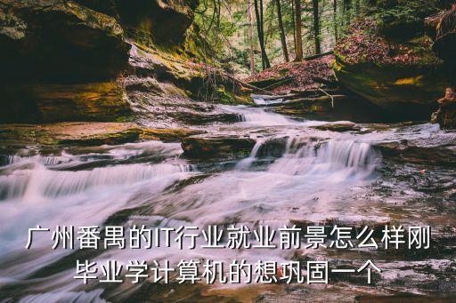 廣州互聯(lián)網(wǎng)行業(yè)的前景，廣州的IT行業(yè)是什么現(xiàn)狀