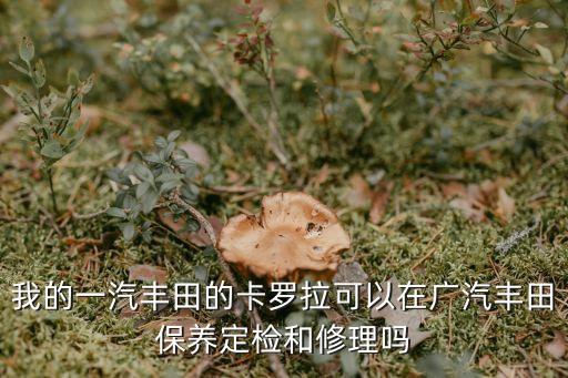 一汽豐田能去廣州保養(yǎng)嗎，我的一汽豐田的卡羅拉可以在廣汽豐田保養(yǎng)定檢和修理嗎