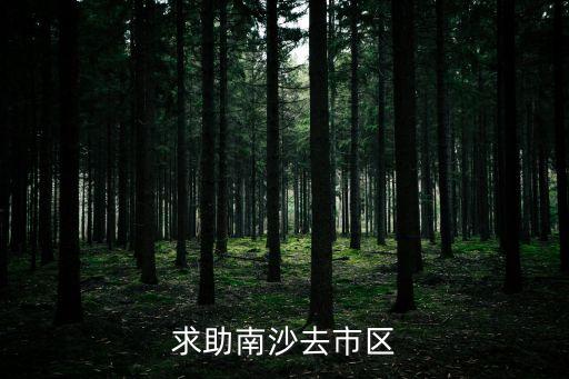 求助南沙去市區(qū)