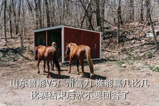 魯能后衛劉洋足杯對廣州富力表現，山東魯能 vs 廣州富力讓幾球呢