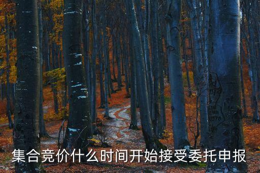 集合競(jìng)價(jià)什么時(shí)間開(kāi)始接受委托申報(bào)