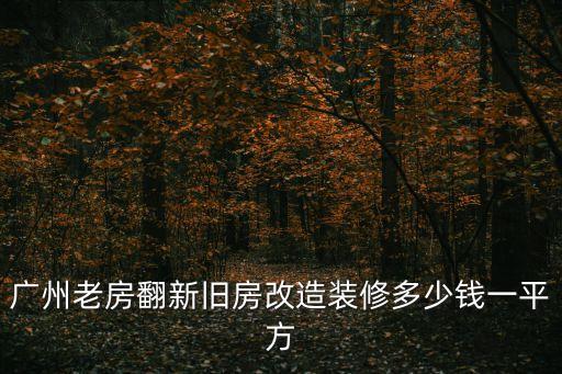 廣州老房翻新舊房改造裝修多少錢一平方