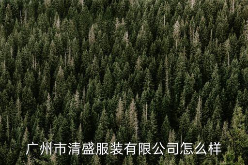 廣州市清盛服裝有限公司怎么樣