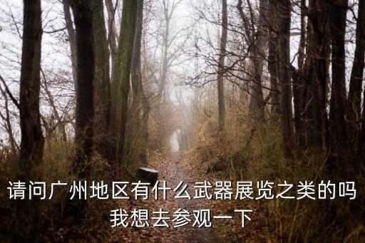 請問廣州地區(qū)有什么武器展覽之類的嗎我想去參觀一下