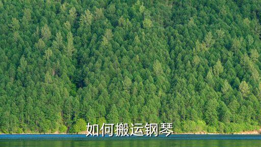 鋼琴怎樣從長沙運到廣州來，鋼琴怎么郵寄